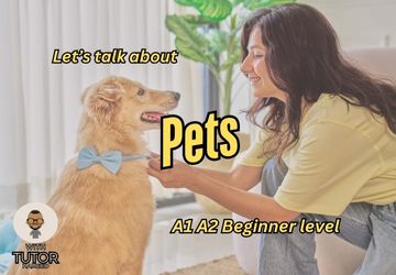 Let’s Talk About Pets!