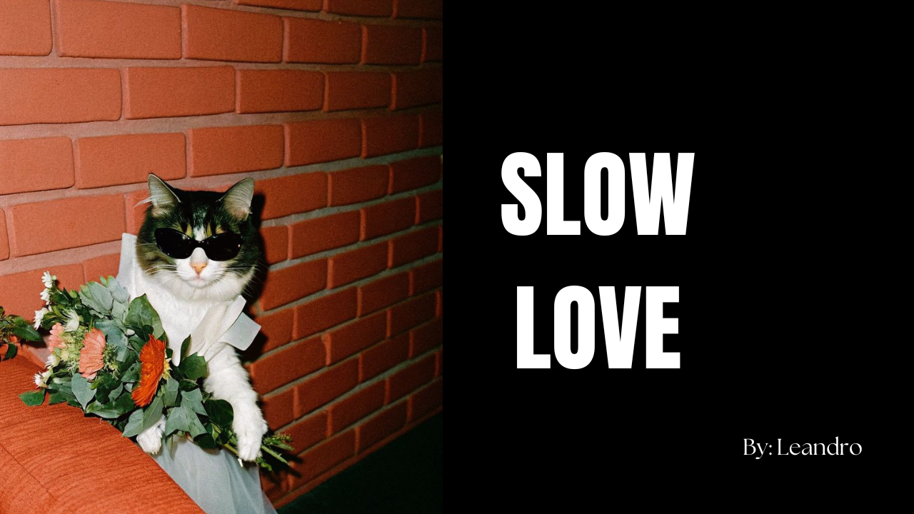 Building Something That Lasts