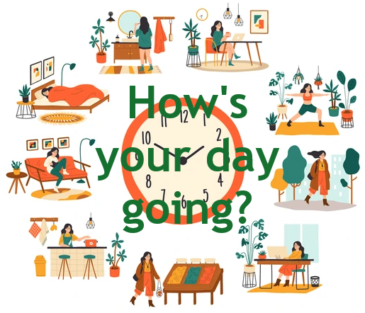What do you do through the day?
