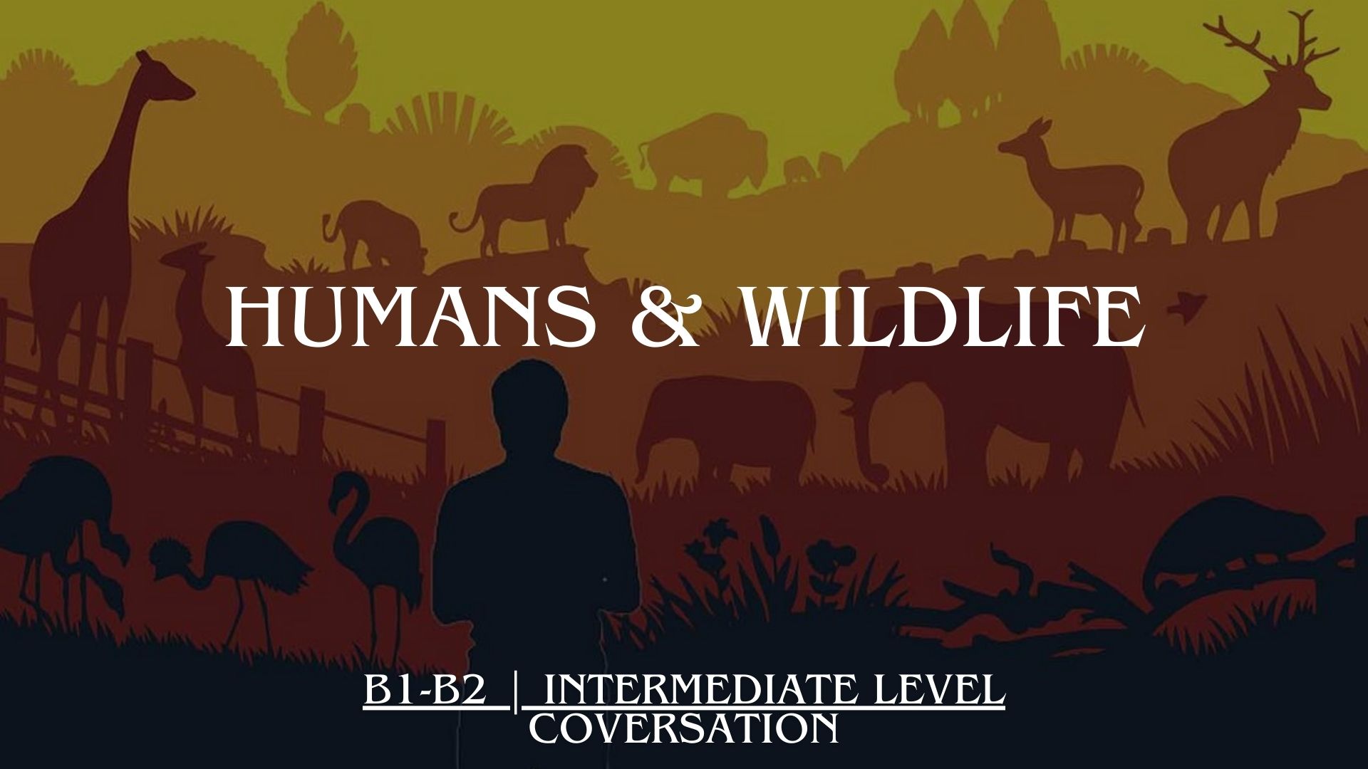 Wildlife in Human Spaces