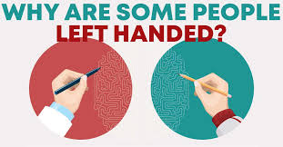 Why Are Some People Left-Handed?