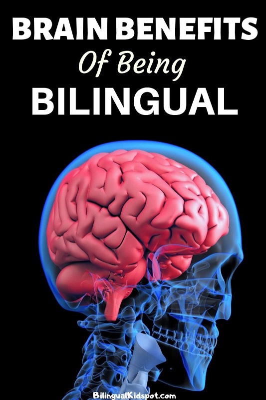 The benefits of a bilingual brain