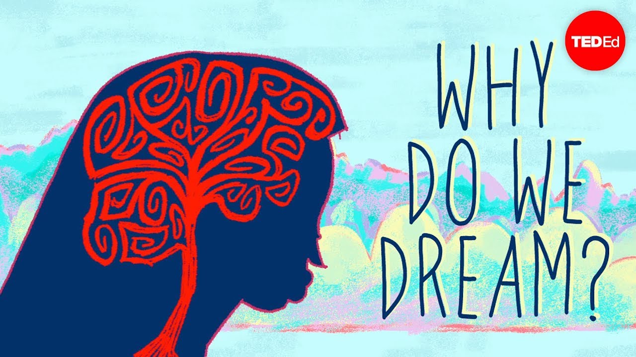 Why do we dream