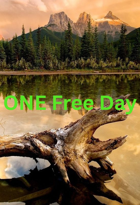 What I Would Do With One Free Day