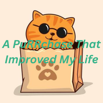 A Small Purchase That Improved My Life