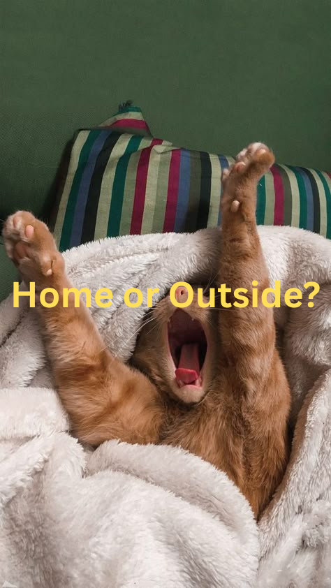 My Weekend: Home or Outside?